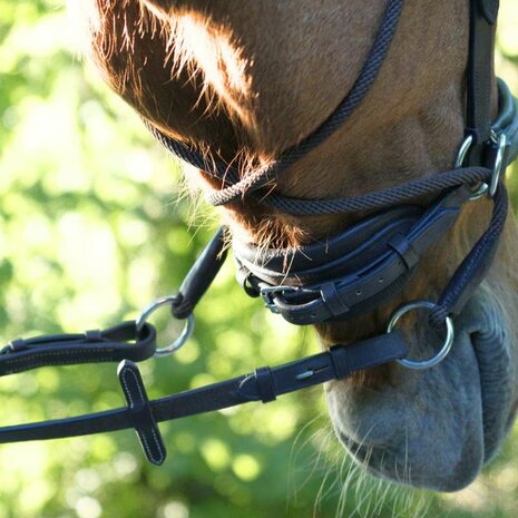 Kavalkade Cross Light &ndash; Luxe Kaakgekruist Bitloos Hoofdstel van Geolied Leer