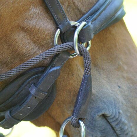 Kavalkade Cross Light &ndash; Luxe Kaakgekruist Bitloos Hoofdstel van Geolied Leer