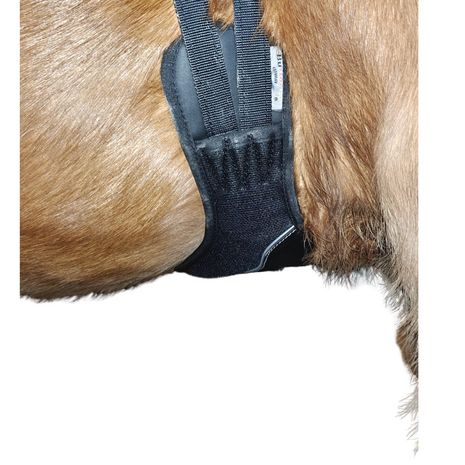 Butterfly Veelzijdigheids PONY Singel &ndash; exclusief verkrijgbaar bij Kifrahorse.nl