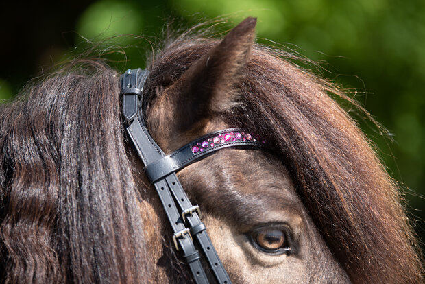 Tolt Saga Hoofdstel Anatomisch R&oacute;ska