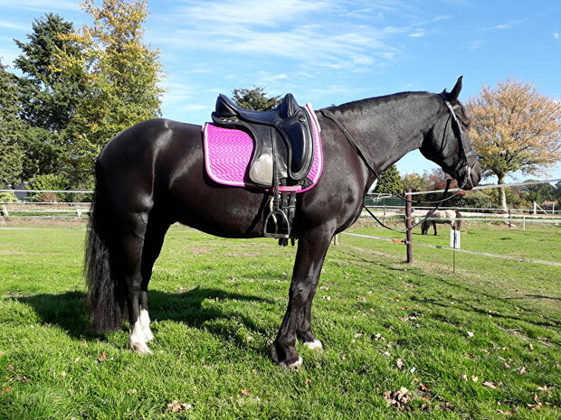 Kifra-pad Boomloos Square Orange COTTON