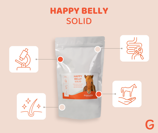 Green Valley Happy Belly Solid (darm)