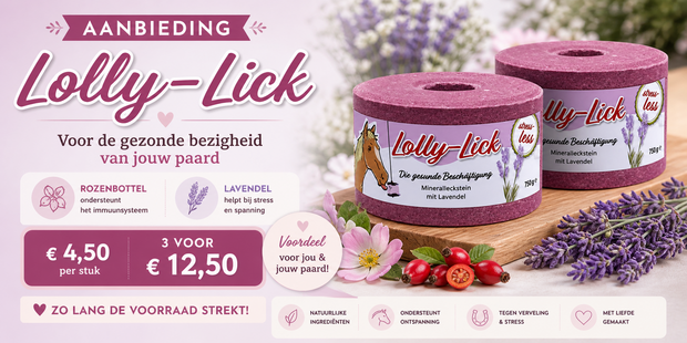 Lolly Lick &ndash; Het Gezonde &amp; Suikervrije Paardenspeeltje (750g)