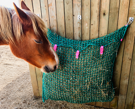 Heavy Duty Slowfeeder Hooinet &ndash; Tasmodel (100 x 90 cm) 35mm maas