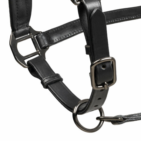Equestro lederen halster met elegante glitteraccenten