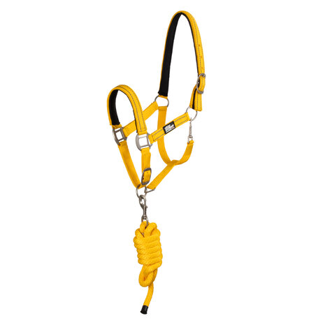 Supreme Synthetisch Halster met Halstertouw en Reflecterende Strepen