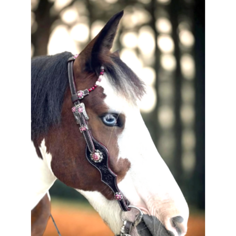 Western Hoofdstel Two Ear Pink Silver
