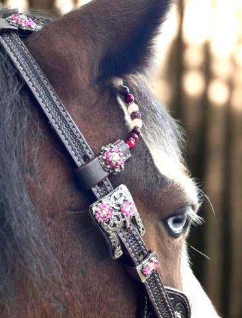 Western Hoofdstel Two Ear Pink Silver