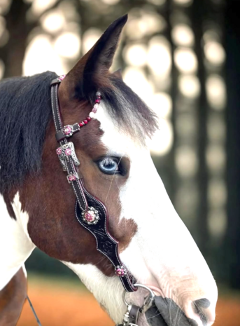 Western Hoofdstel Two Ear Pink Silver