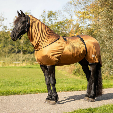 Eczeemdeken Big Neck voor Friezen &amp; Barokke Paarden