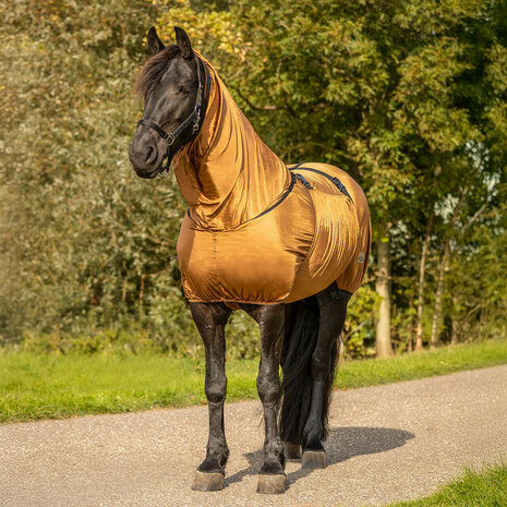 Eczeemdeken Big Neck voor Friezen &amp; Barokke Paarden