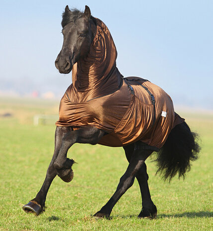 Eczeemdeken Big Neck voor Friezen &amp; Barokke Paarden