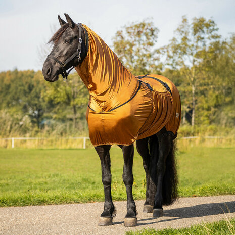 Eczeemdeken Big Neck voor Friezen &amp; Barokke Paarden