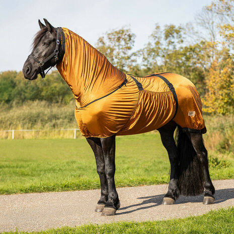 Eczeemdeken Big Neck voor Friezen &amp; Barokke Paarden