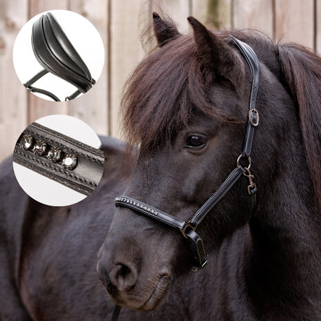 Lederen IJslanderhalster Freydis - Black 