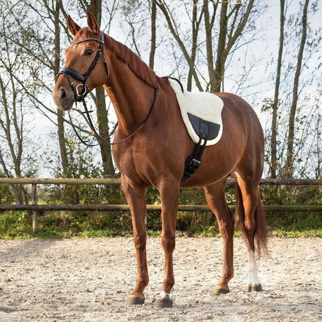 Barebackpad Ontario &ndash; Pony &amp; Full