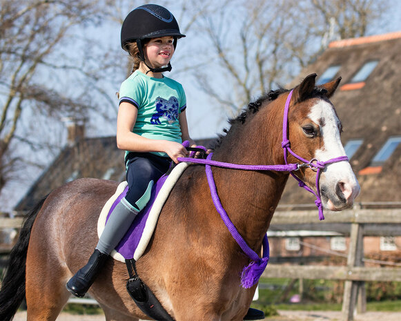 Barebackpad met imitatiebont Purple - Shet t/m Full