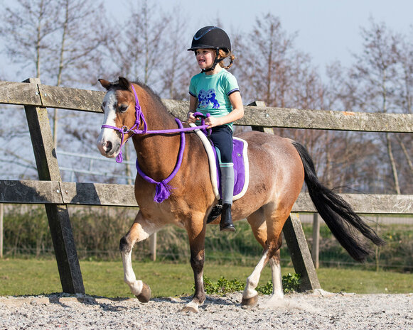 Barebackpad met imitatiebont Purple - Shet t/m Full