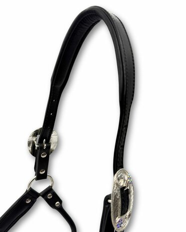 Premium Western showhalster zwart met strass &ndash; inclusief lijn met ketting