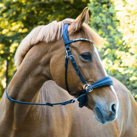Kavalkade Cross Light &ndash; Luxe Kaakgekruist Bitloos Hoofdstel van Geolied Leer