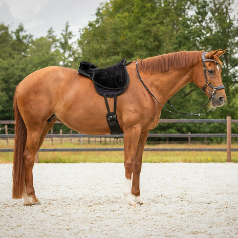 QHP Barebackpad Super Soft Black