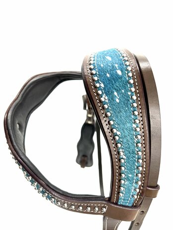Turquoise Westernhoofdstel &ndash; Shetty, Quarter &amp; Koudbloed &ndash; Anatomisch Kopstuk