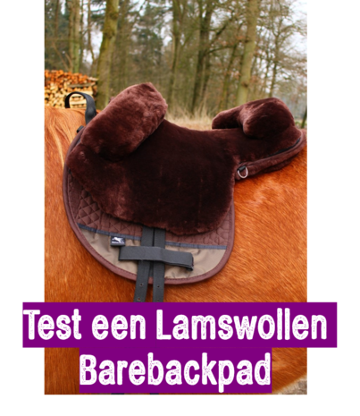 Test 2 weken een Lamswollen Barebackpad