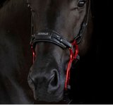 Acavallo Lederen neusriem voor hackamore_