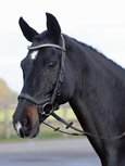 Anatomisch Hoofdstel Emotion Black Anatomisch Hoofdstel Emotion Black