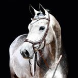 Anatomisch Hoofdstel Emotion Brown COB Anatomisch Hoofdstel Emotion Brown COB