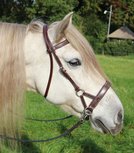 Kifrahorse Sidepull Soft + clipteugels OP = OP Kifrahorse Sidepull Soft + clipteugels OP = OP