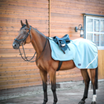 Busse Uitrijdeken Fleecetrainer Busse Uitrijdeken Fleecetrainer