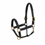 Equestro Shaped Lederen Halster Equestro Shaped Lederen Halster