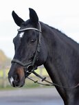 Anatomisch Hoofdstel Emotion Black FULL Anatomisch Hoofdstel Emotion Black FULL