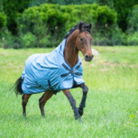 Outdoordeken RAIN DEAR 00 sale Outdoordeken RAIN DEAR 00 sale