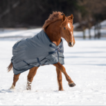 Busse Regendeken Windchill 0 grams Busse Regendeken Windchill 0 grams