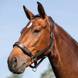 Acavallo Halster Leder Anatomisch Bruin Acavallo Halster Leder Anatomisch Bruin