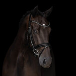 Hoofdstel Kieffer Grace Hoofdstel Kieffer Grace