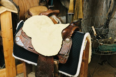 Seatsaver Western Naturel Seatsaver Western Naturel