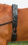 Busse Longeersingel Professional Leder Busse Longeersingel Professional Leder