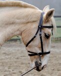 Kaakgekruist Hoofdstel Kifrahorse Vie Kaakgekruist Hoofdstel Kifrahorse Vie