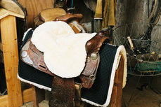 Seatsaver Western White Seatsaver Western White