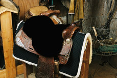 Seatsaver Western Black Seatsaver Western Black