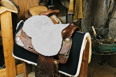 Seatsaver Western Silver Seatsaver Western Silver